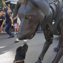 강아지가정부 이미지