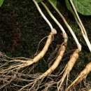 산양마을(주) 이미지