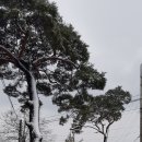 차리경로당 이미지