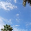 중사목장 이미지