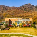 라인댄스(강좌번호:15) 이미지