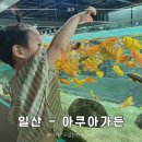 똑똑카페 | [내돈내산] 일산 아이와 가볼만한곳 - 아쿠아가든 일산점 실내 데이트·물멍 카페 후기