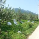 고제면 봉계리 이미지