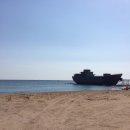 장사해수욕장(솔밭) 이미지