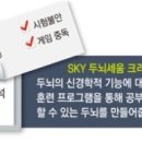 스카이두뇌세움크리닉