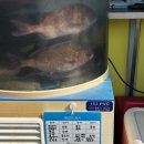 영종도 을왕리 펜션 가는 길에 회포장하기 <회떠가는집> 내돈내산 후기