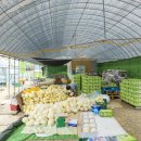 이기순농장 이미지