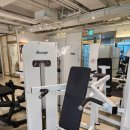 서울 강서 무브먼트 펜듈럼, 숄더프레스, 팝니다! 마지막 할인가 이미지