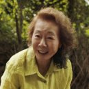 뉴욕미나리
