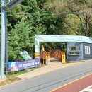 증산초교앞 이미지