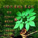 만석민박 이미지