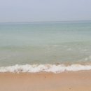 대천스포츠 이미지