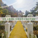 남이초등학교 | 청주 스몰웨딩 야외결혼식 메리앤웨딩 다녀온 후기