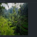 BBOX FIT | [혼만파] 2주차 CH03