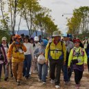 (유)평화관광 트레벌데일리