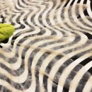 복어마을 이미지