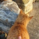 분평종합동물병원 이미지