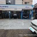 애니카랜드 부평점 이미지