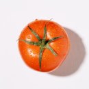 맛질 토마토 이미지