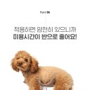 한결강아지미용실 이미지