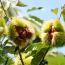 동원당한의원 이미지