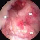 해피비뇨의학과의원 이미지