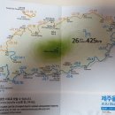 종달리삼거리 네이버블로그