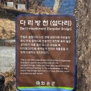 숲정이 Daum카페