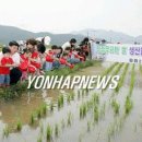 참게마을 연합뉴스