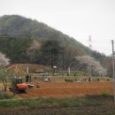 안미장리 이미지