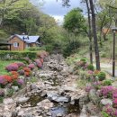 용인자연휴양림4 이미지