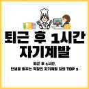 [구민선호](야간,온라인) 퇴근 후 엑셀 스킬업 챗GPT 활용까지 | 퇴근 후 1시간, 인생을 바꾸는 직장인 자기계발 강의 TOP 5