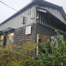 [창원 진해] 진해보타닉뮤지엄카페, 꽃 구경 후 쉬어가기 좋은 곳