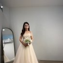 유성대로 1312번길 | [W7] 더숲 촬영 드레스 피팅 후기