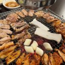 숯불에 닭 웨스턴돔점 이미지