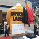 바비독 이미지