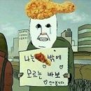 파더하우스레스텔민박 | 《D+24》국토종주 6일차 - 낙동강 완료!! :^D