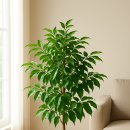 HAPPY TREE(해피트리) 이미지