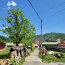 이은희 해물전문점 이미지