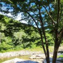 단양글램핑&펜션 이미지