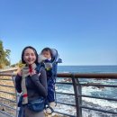 동해시-19 | 19개월 아기랑 동해 해파랑길 트랙킹