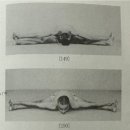 굿모닝요가 이미지