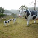 벧엘산업 이미지