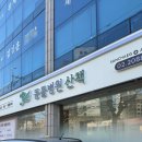 산책동물병원 | [응암동 동물병원] 동물병원 산책｜고주파, 침 재활치료 후기