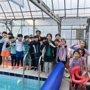 블랙벨트 태백 태권도장 이미지