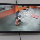 라우더 스포츠 이미지