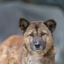 검산 농장 이미지