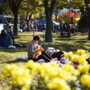 평화3(잔디광장) 이미지