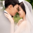소나무스튜디오 이미지