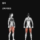 플랜핏 이미지